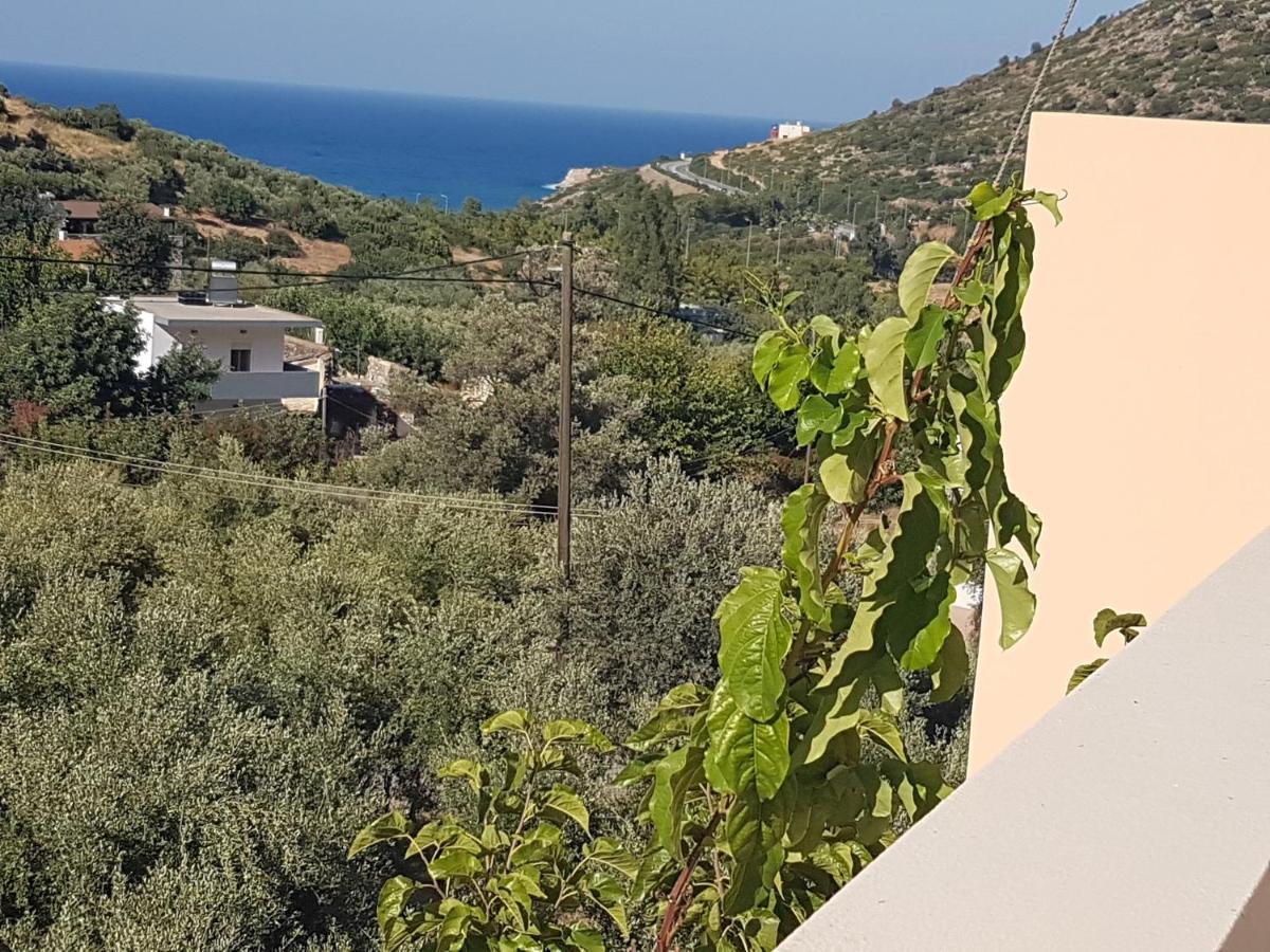 Sea Flower Villa Bali Crete فيلخاذا المظهر الخارجي الصورة
