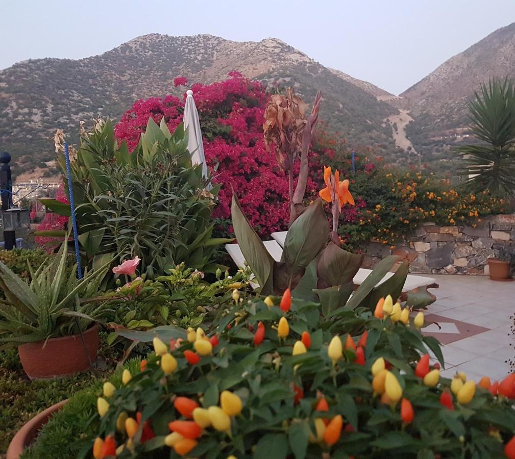 Sea Flower Villa Bali Crete فيلخاذا المظهر الخارجي الصورة