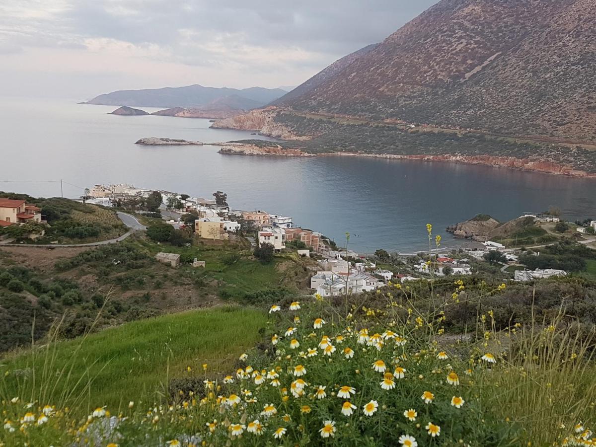 Sea Flower Villa Bali Crete فيلخاذا المظهر الخارجي الصورة
