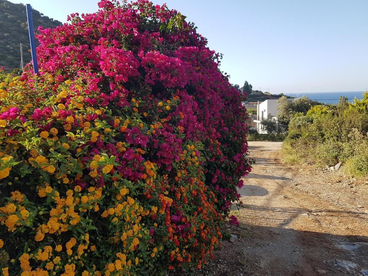Sea Flower Villa Bali Crete فيلخاذا المظهر الخارجي الصورة